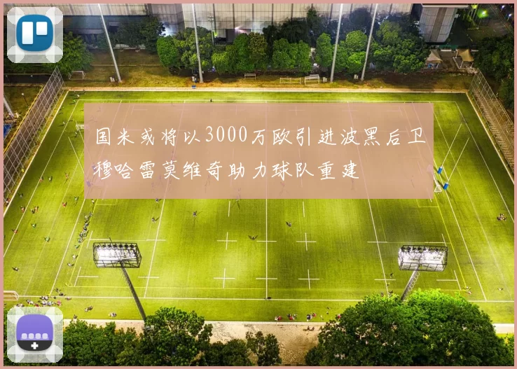 国米或将以3000万欧引进波黑后卫穆哈雷莫维奇助力球队重建